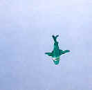 Marina Green Shark Kite    © 2000 Marilyn Straka